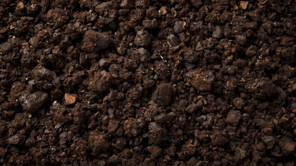 loamy balanced, crumbly soil that’s easy to work and good for most plants.