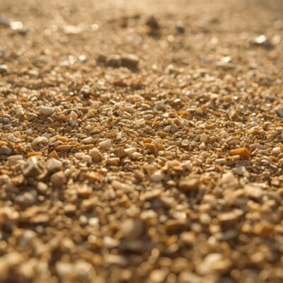 sandy light, gritty soil that drains quickly and dries out fast.